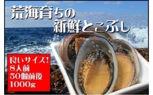
活き〆とこぶし 1kg 冷凍 国産 とこぶし トコブシ ながれこ ナガレコ 新鮮 高知県 東洋町 四国 お取り寄せ 送料無料 S240
