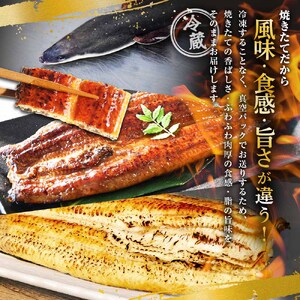 ～四国一小さなまち～ ヤマシン特選うなぎの蒲焼き２尾＋白焼き１尾入り（特製タレ付き） うなぎ 鰻 ウナギ 国産 高知県産 2尾 蒲焼 かばやき 白焼き 特製タレ 冷蔵 配送 真空パック