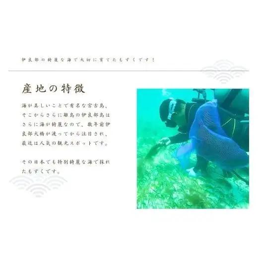 養殖もずく　5個セット 沖縄 宮古島 ふるさと納税 おすすめ 人気 もずく モズク 海藻 ミネラル 海 食 （FU002）