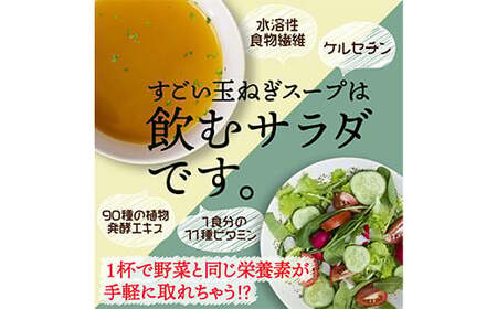 すごい玉ねぎスープ 合計2セット(4.8g×30食) 小分け 玉ねぎ スープ 料理 調味料 隠し味 食品 F20E-814