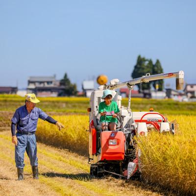 ふるさと納税 十日町市 生産農家直送!生産地・生産者限定魚沼産コシヒカリ「イネノハ」精米(5kg×3袋)【合計15kg】 |  | 03