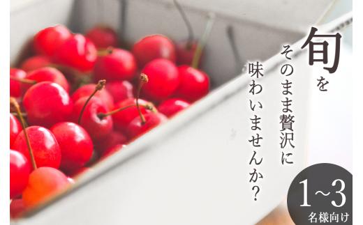 ＜2026年発送先行予約＞南アルプス市産 たっぷりバラ詰めさくらんぼ M,Lサイズ 400g ALPAL021