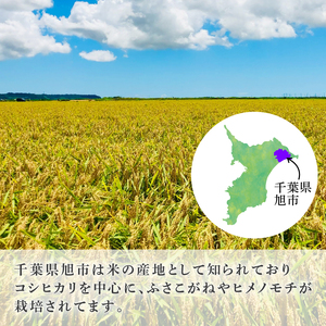 千葉県産 令和7年産 10kg 新米 ｺｼﾋｶﾘ 米米米米米米米米