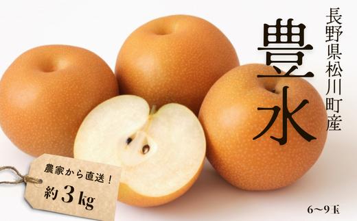KW03 梨 豊水 贈答 約3kg（6～9玉） 長野県松川町産／9月中旬頃～順次発送予定//長野県 南信州 松川町 和梨 梨 なし ナシ 約3㎏ 豊水 産地直送 農家直送 農家支援 贈答 果物 フルーツ 甘い