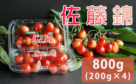 《 数量限定 》 【 令和7年産 】 さくらんぼ 佐藤錦 800g ( 200g × 4パック ) バラ詰め 〔 6月下旬頃からお届け 〕 2025年産 産地直送