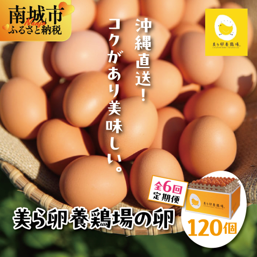 卵の黄身が掴めるほどの新鮮さ 美ら卵養鶏場の卵 120個【6ヶ月定期便】   I  たまご タマゴ  卵 美ら卵 養鶏場 美ら卵 新鮮  養鶏場  定期便   120個   沖縄県 南城市 ふるさと納税 有限会社 美ら卵養鶏場