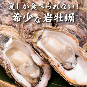 先行予約 秋田の肉厚な天然岩牡蠣（岩ガキ 5個以上）※ナイフ付き かき カキ 秋田県 にかほ市産 天然 岩牡蠣  殻付 牡蠣 海産物 魚介類 海鮮
