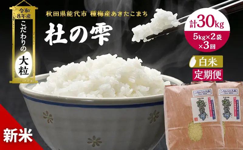 新米 先行予約 令和8年産[白米]【定期便3ヶ月】秋田県産 あきたこまち 10kg(5kg×2)×3回 計30kg 「杜の雫」こだわりの大粒 種梅産【 お米 おこめ たねうめ 精米 ご飯 ごはん ブランド米 大粒 おにぎり 産地直送 能代 】