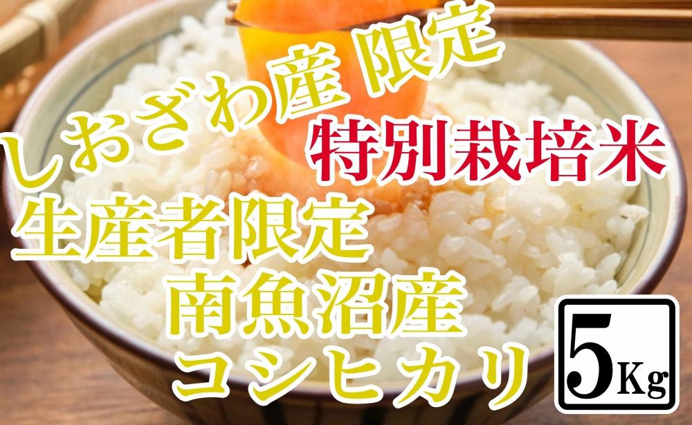 
【精米5kg】特別栽培 しおざわ産限定 生産者限定 南魚沼産コシヒカリ
