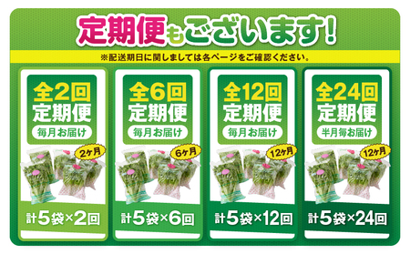 1627-2 【 全6回 定期便 】洗わずに食べられる プレミアム 水耕栽培 レタス セット（ 計5袋 ） KN064-T02 野菜