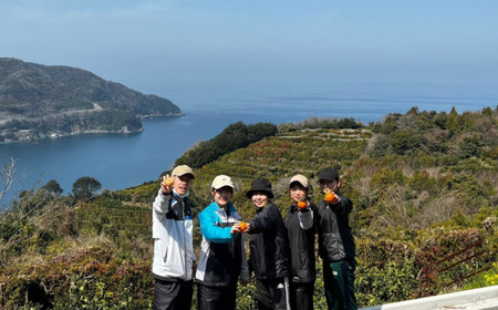 【先行予約】清見オレンジジュース 720ml×3本 ※離島への配送不可（2025年5月より順次発送予定） IKTAU013