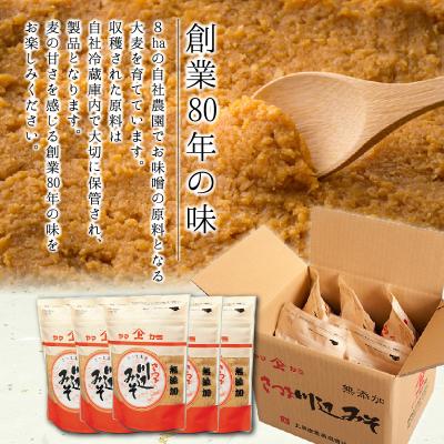 ふるさと納税 南九州市 川辺味噌1kg×5袋セット |  | 01