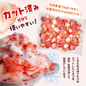 【定期便3回】冷凍いちご とちあいか 1kg カット済み 訳あり