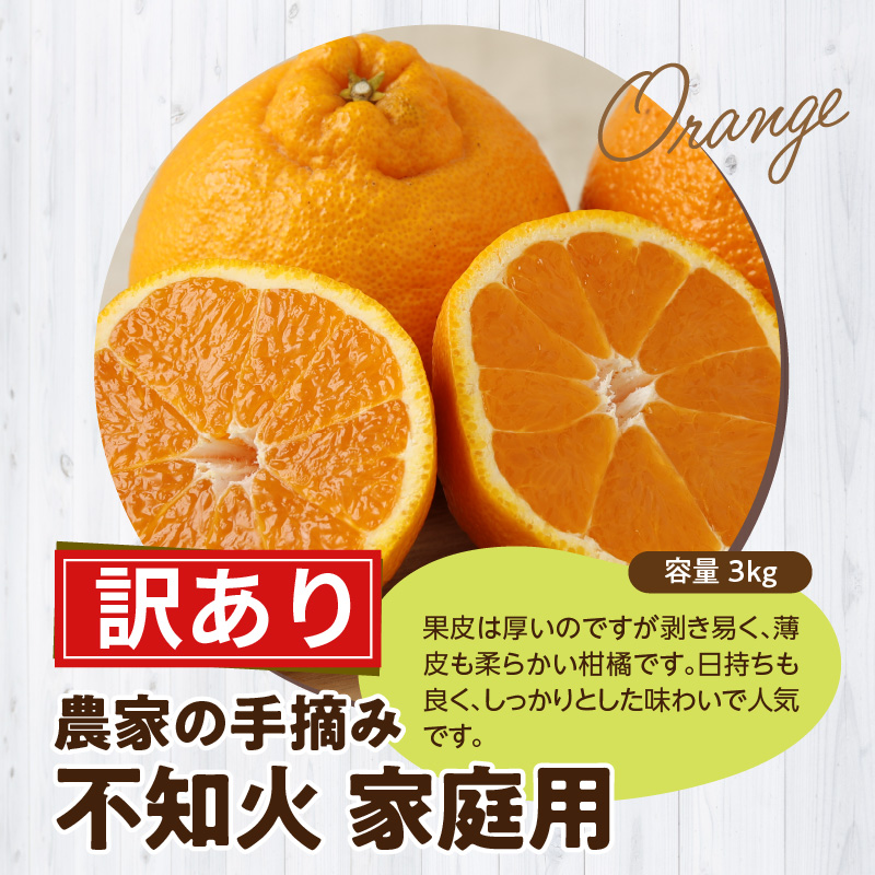 S040-030-02_【訳あり】≪2月発送≫農家の手摘み　不知火　家庭用　3kg ≪2月発送≫