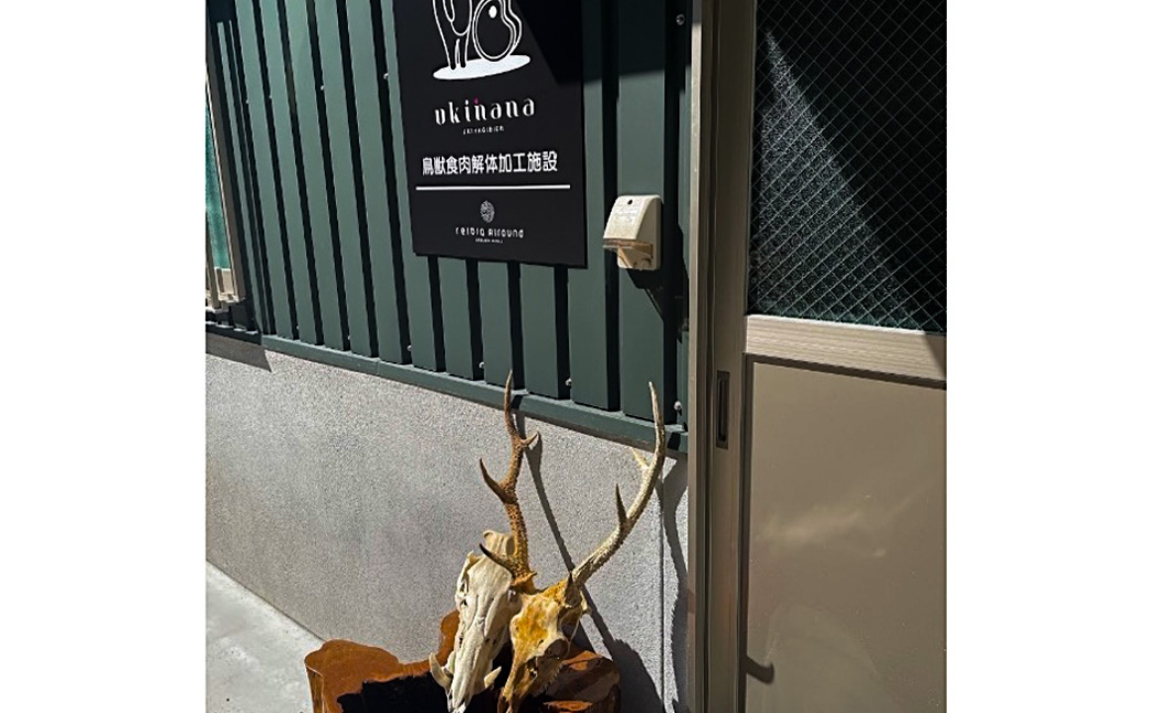 【ジビエ】 天然鹿肉 BBQカット 300g×2パック 天然鹿 鹿肉 シカ肉 赤身 ロース肉 モモ肉 スライス ジビエ ジビエ肉 ジューシー おかず BBQ バーベキュー キャンプ キャンプ飯 ジビエ