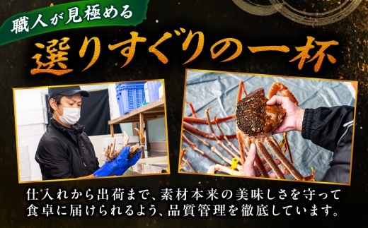 【先行予約/11月18日より順次配送】【訳あり】越前がに 1.2kg×2杯 茹で 福井県産ズワイガニ 脚折れ・欠け / かに カニ 蟹 越前ガニ ズワイガニ ボイル / 小浜市 / 一進わかさ【配送不