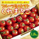 【ふるさと納税】 〈先行予約受付中〉 トマト フルーツミニトマト 1.8kg 『 くれまるこ 』 フルーツトマト 甘い 濃厚 美味しい 箱詰め 高知 久礼 宇井農園