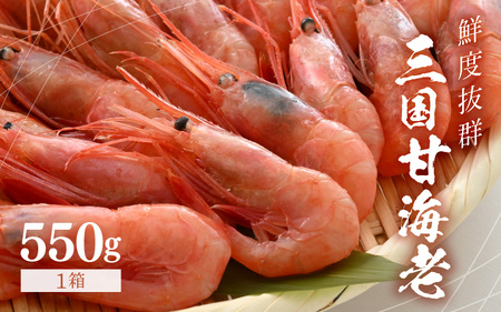 鮮度抜群！三国甘海老 550g 【甘海老 あまえび アマエビ えび 海老 有頭 刺身 生食 海鮮 海産物 魚貝類 魚介類 新鮮 冷凍 三国】 [A-18701]