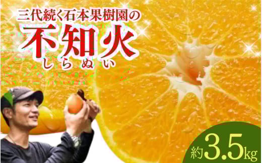 【先行予約】石本果樹園の美味しい 不知火 約3.5kg 8～12玉前後【2月初旬から2月下旬までに順次発送】 / みかん フルーツ くだもの 果物 デコポン 不知火
