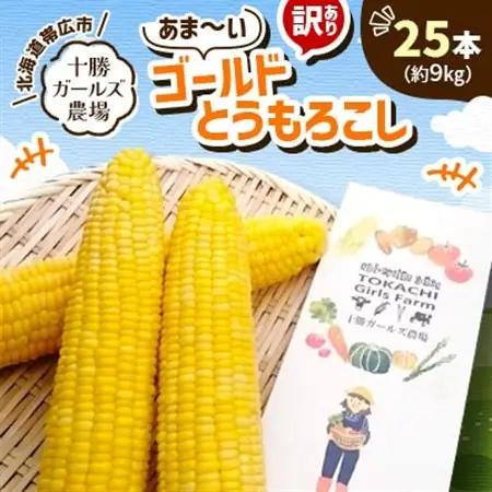 先行受付【十勝ガールズ農場】訳あり 直送 朝もぎつぶつぶ「あま～いゴールドとうもろこし」25本【配送不可地域：離島】【1462031】