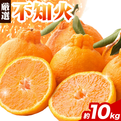 プリッと濃厚!!旬を厳選 不知火 デコポン 同品種 みかん 約10kg+250g 池田鹿蔵農園 《2月上旬-3月末頃より出荷予定》和歌山県 日高町 送料無料 しらぬい でこぽん 濃厚 厳選みかん 厳選デコポン 傷み補償分付き