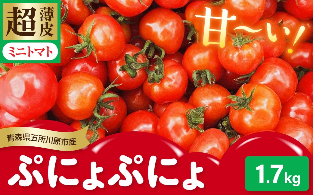 
                  【2026年 先行受付】超薄皮 ミニトマト 約1.7kg 「 ぷにょぷにょ 」【 6月下旬 発送  開始 】食感を満喫するミニトマト【青森 五所川原】プチ トマト ぷよ 食感 五所川原市 大太
                