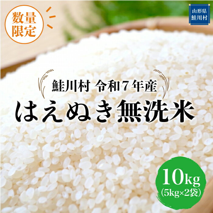 【ふるさと納税】数量限定！＜令和7年産米＞ 鮭川村 はえぬき 【無洗米】10kg （5kg×2袋）＜配送時期選べます＞