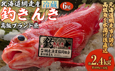 【先行予約】【網走産】高級ブランド釣きんき 6尾【冷蔵】 ABJ019【2026年5月15日以降順次発送予定】