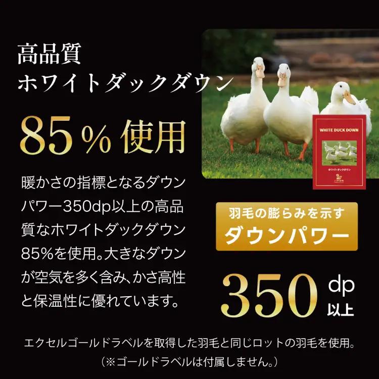【訳あり】 羽毛布団 シングル 冬用 本掛け 色柄おまかせ ダウンケット ホワイトダックダウン 85％ 1.2kg 軽量生地 TTC ｜