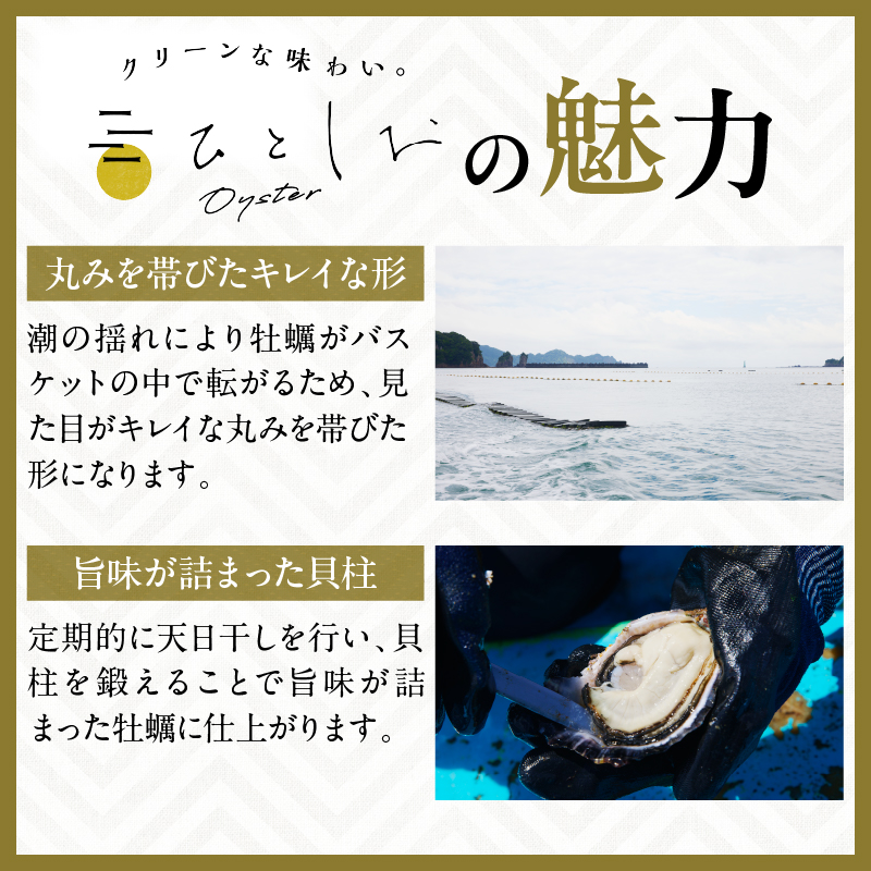 CB81-23_数量限定 ブランド 牡蠣 ひとしおオイスター 計20個 魚介 貝 かき 生食用 殻付き 国産 宮崎県産 おかず 食品 ギフト 生牡蠣 海鮮 BBQ 送料無料_イメージ2