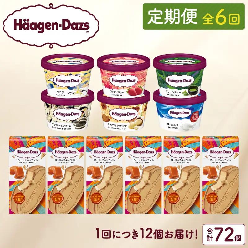 ＜全6回定期便・連続＞ハーゲンダッツ『ミニカップ＆クリスピーサンドセット(合計72個)』アイスクリーム アイス スイーツ デザート ミルクアイス アイススイーツ アイスデザート_H0016-225