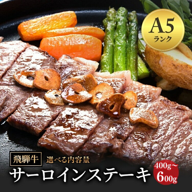 【ふるさと納税】【選べる内容量】飛騨牛 牛肉 肉 ステーキ サーロイン ｜ステーキ 飛騨牛 肉 牛肉 和牛 国産 赤身 牛 ブランド牛 お取り寄せ グルメ 人気 おすすめ 夜ご飯 お祝い お中元 お歳暮 ギフト 贈答【岐阜県瑞穂市】※離島への配送不可