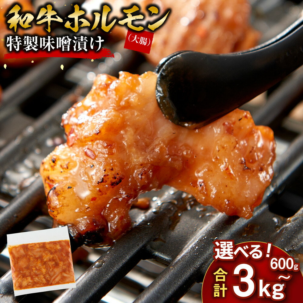 【ふるさと納税】ホルモン 大腸 味噌漬け 600g ～ 3kg ( 1セット300g × 2 ) | 歯ごたえ抜群 小分け 使いやすい 味付き 調理便利 焼肉 野菜炒め ホルモン炒め 訳あり 不揃い 和牛 冷凍 容量選択可 配送時期が選べる 個包装 冷凍保存 アウトドア キャンプ おすすめ 人気