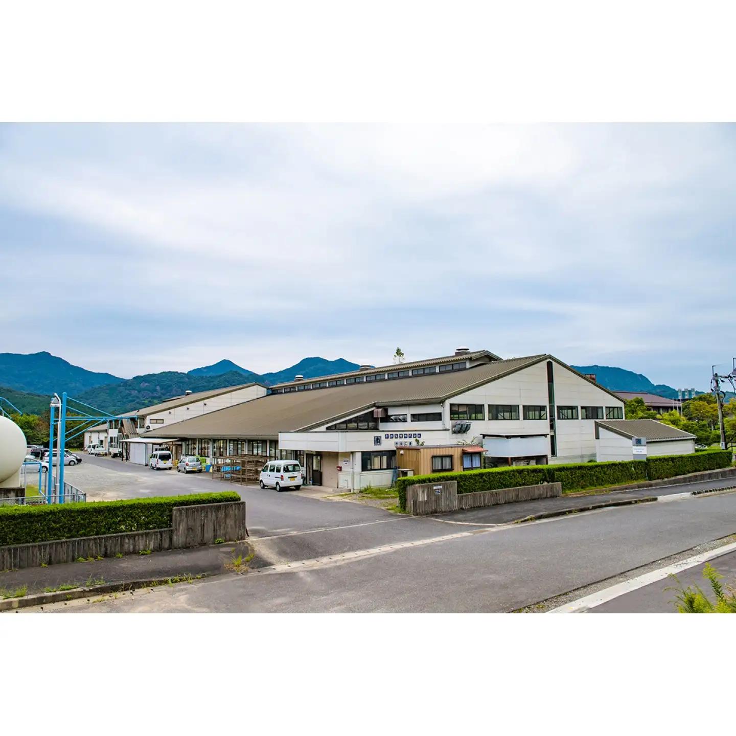 【有田焼】更紗 和皿 4点セット / 焼き物 皿 食器 / 佐賀県 / アリタポーセリンラボ株式会社[41APAF004]
