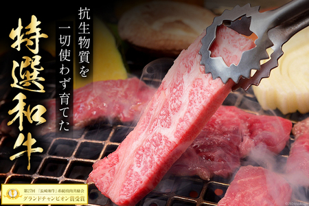 隔月6回 定期便 ブランド牛 平野幸一之牛 プレミアムセット 総量3.4kg [増山（焼肉薩摩） 長崎県 雲仙市 item1766] 牛肉 ステーキ すき焼き 焼肉 黒毛和牛 和牛 肉 冷凍 定期