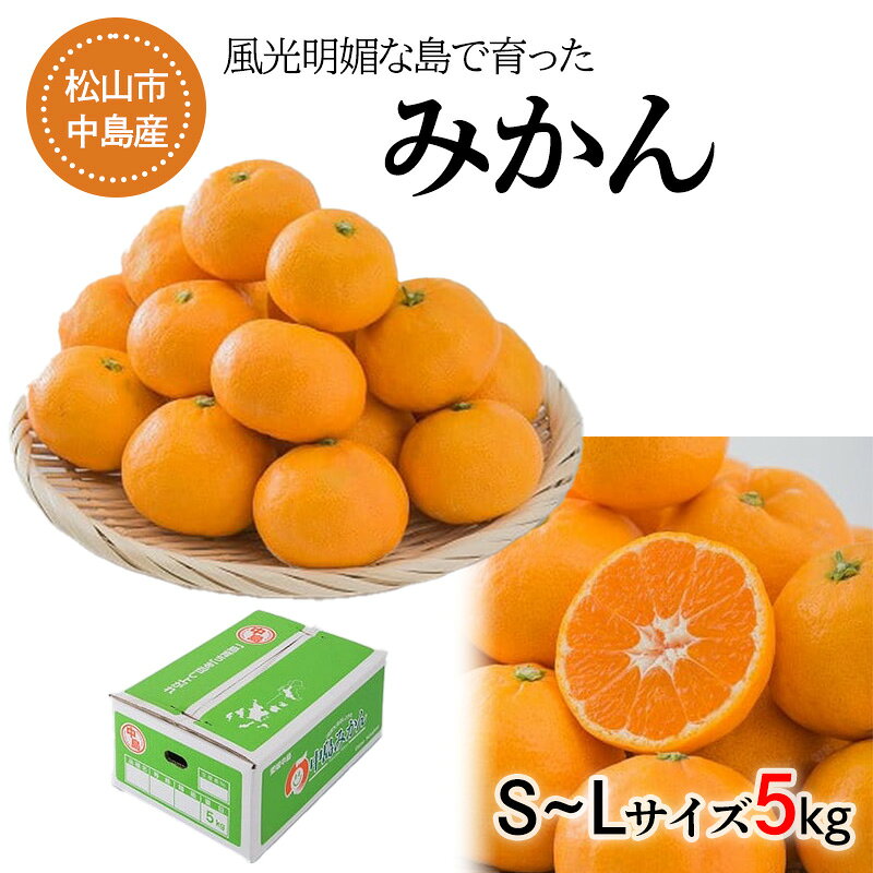 【ふるさと納税】 【2026年11月中旬頃から順次発送】 中島産 みかん S～L サイズ 5kg （ 国産 愛媛みかん 愛媛蜜柑 愛媛ミカン みかん ミカン mikan 柑橘 フルーツ 果物 くだもの お取り寄せ 産地直送 数量限定 人気 おすすめ 愛媛県 松山市 送料無料 フジ・アグリフーズ ）