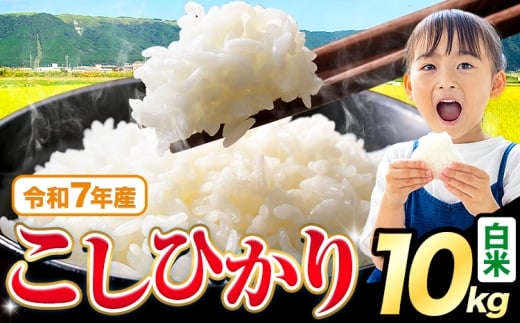 令和7年産  白米 こしひかり 10kg5kg×2袋 《7-14日以内に出荷予定(土日祝を除く)》熊本県産 ふるさと納税 無洗米 白米 精米 ひの 米 こめ ふるさとのうぜい コシヒカリ コメ お米 おこめ
