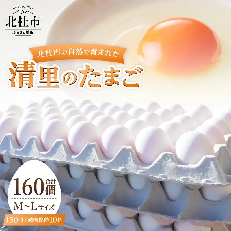 ハイチック 清里のたまご 160個（破卵保証10個含む）