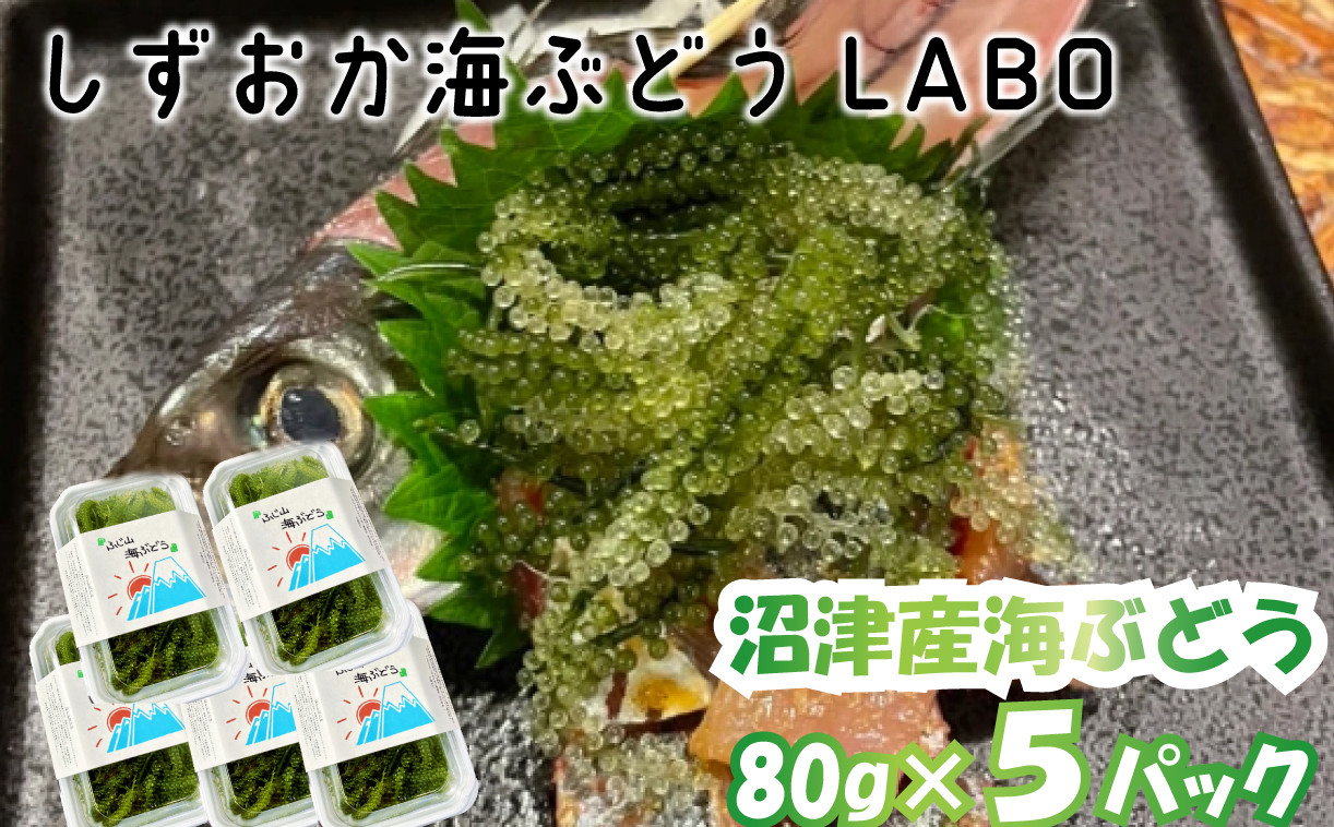 
            海ぶどう 80g×5パック 沼津産 
          
