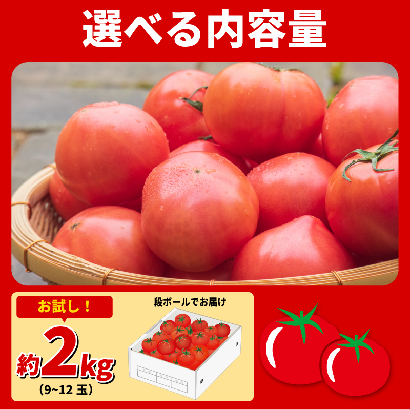 トマト 2kg 大玉 とまと 4月～6月発送 野菜 やさい 国産 産地直送 数量限定 旬 徳島県産 tomato サラダ おすすめ 徳島県