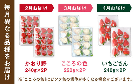 先行予約 2027年2月〜発送 【3回定期便】3種の食べ比べ定期便(2)  【StrawberryFarm-K】[IBJ031]
