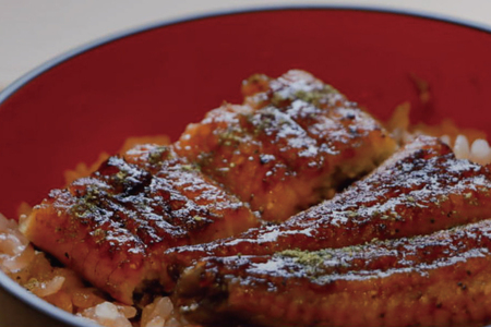 うなぎ ウナギ 鰻 蒲焼 国産 ふるさと納税 極上のうなぎ蒲焼 2尾（約200g×2） 創業100年以上続く老舗 紀州備長炭でじっくり焼き上げた専門店の味 （タレ・山椒付き）【skr002】