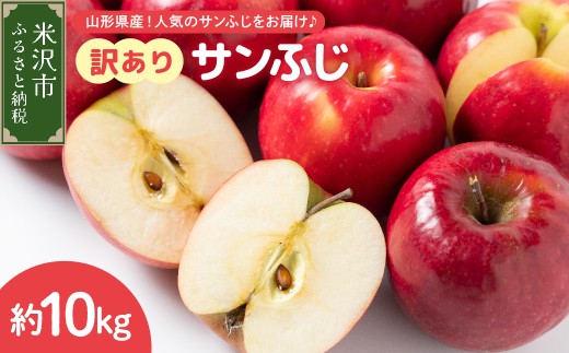 【先行予約】 令和8年産 訳あり りんご サンふじ 約10kg 玉数 お任せ ご家庭用 2026年11月中旬～12月上旬頃 お届け予定 山形県 米沢市