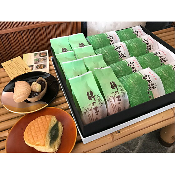 【ふるさと納税】和菓子 竹の徑 8個入り 乙訓竹の子 もなか 8個入り セット 京都 お菓子 菓子 スイーツ デザート おやつ 最中 常温保存 たけのこ タケノコ 筍 竹の子 あんこ 餡子 こしあん 笹餡 丹波大納言小豆 京都府向日市
