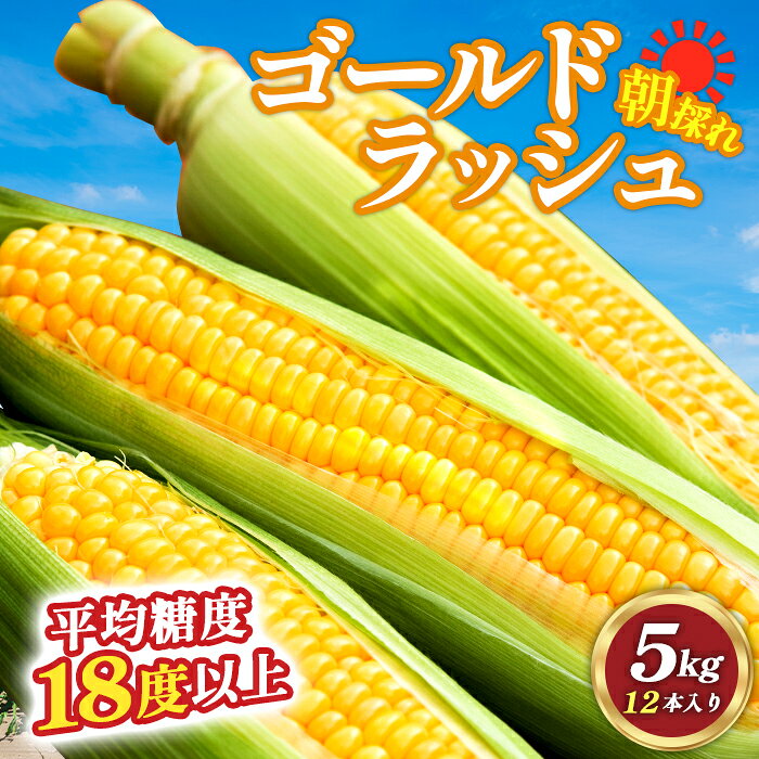 【ふるさと納税】スイートコーン「ゴールドラッシュ」5kg（2L～3L 12本入り）2401