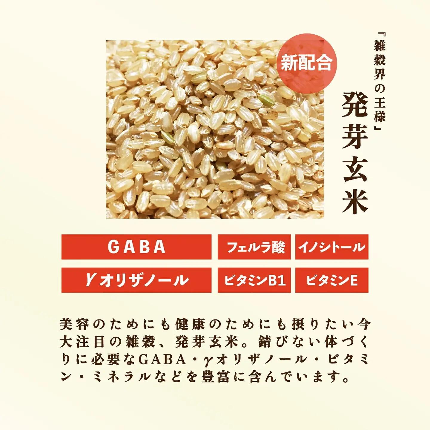 【玄米 黒米】  国産100% 雑穀6種  パックご飯 12個 玄米 パックご飯