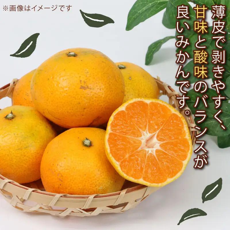 みかん 訳あり 温州みかん 10kg 平石農園 先行予約 温州 みかん 甘い 甘味 酸味 果物 くだもの フルーツ 柑橘 mikan 蜜柑 愛媛蜜柑 愛媛みかん わけあり サイズ 不揃い 産地直送 数