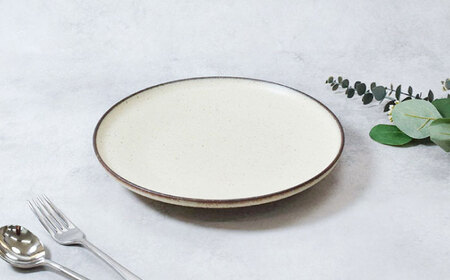 【美濃焼】クレタ 切立リム型 8.0皿 4点セット【カネ定製陶】 プレート 食器セット ナチュラル[MEI265]
