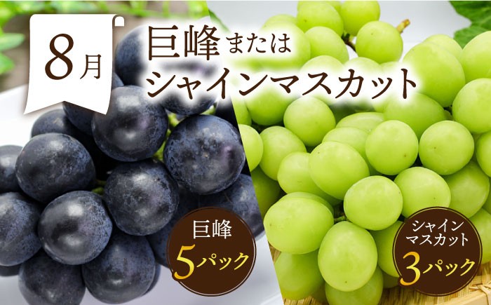 定期便 旬 フルーツ 果物 春フルーツ 夏フルーツ 秋フルーツ 冬フルーツ 果物定期便 フルーツ定期便