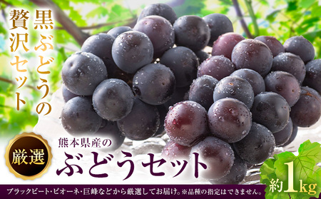 【先行予約】厳選 熊本県産のぶどうセット 約1kg 品種おまかせ ブラックビート ピオーネ 巨峰 【メロンドーム】 有限会社七城町特産品センター熊本県 菊池市 果物 フルーツ ぶどう ブドウ 葡萄 セット 食べ比べ 熊本県産 送料無料